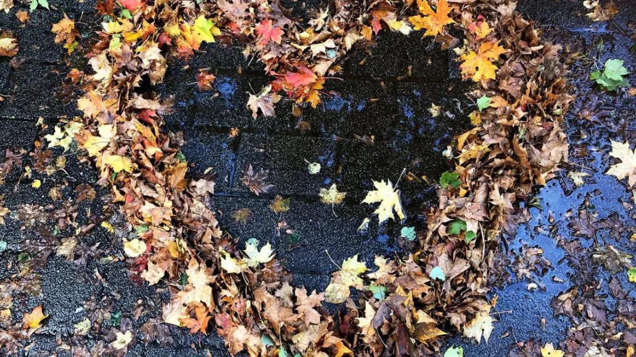 Україну накрили атмосферні фронти: синоптикиня повідомила, що буде з погодою 29 жовтня 