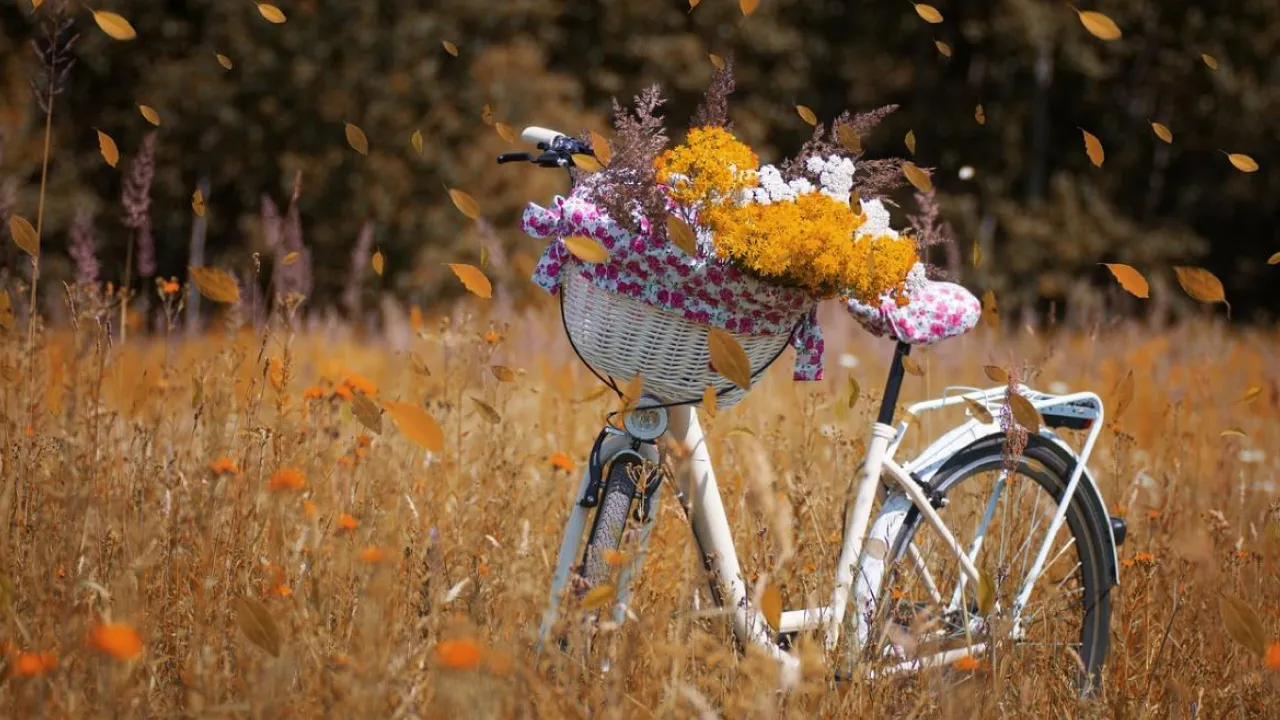 30 жовтня в Україну прийде довгоочікуване осіннє потепління: прогноз синоптиків 