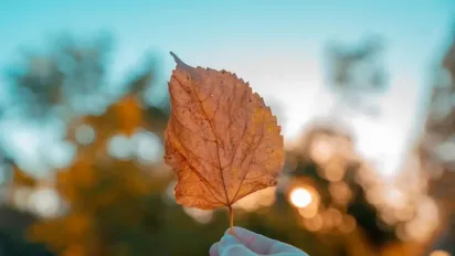 Синоптикиня Діденко назвала точні дати, коли в Україні буде тепло - фото