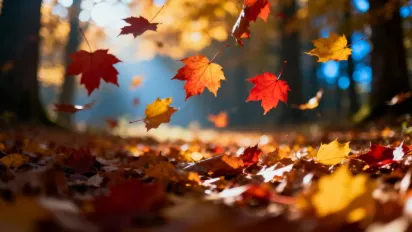 День усіх святих 1 листопада: головні заборони та прикмети, які визначать майбутню зиму - фото