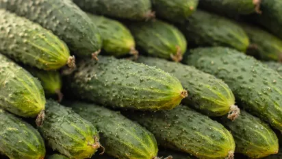 В Україні практично щодня дорожчає один з найпопулярніших овочів: що відбувається з цінами - фото