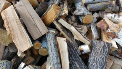 Ці дрова горять найдовше: експерт розкрив, чим вигідніше опалювати будинок - фото