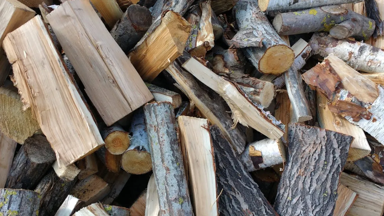 Ці дрова горять найдовше: експерт розкрив, чим вигідніше опалювати будинок 