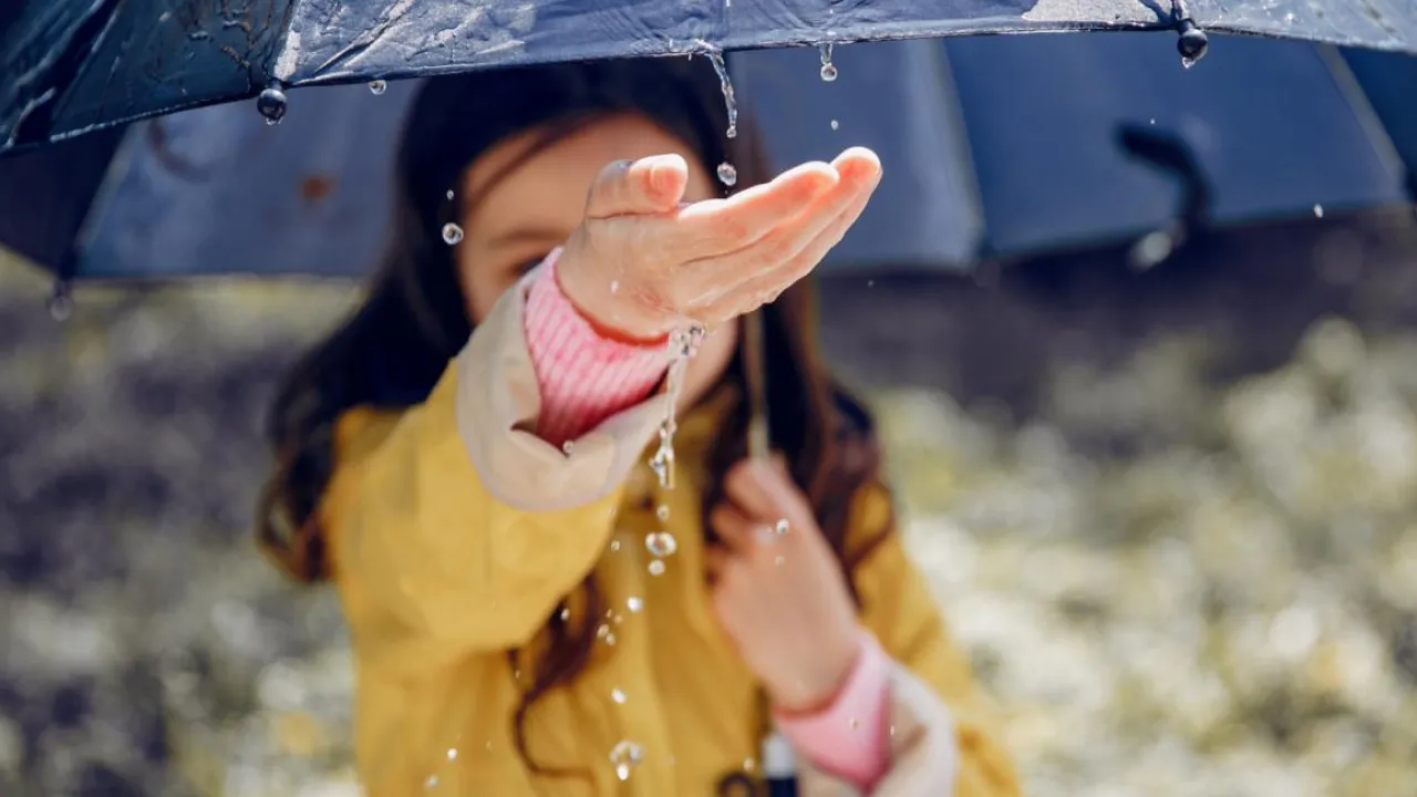 Сьогодні в Україну прийдуть дощі: прогноз на 3 листопада 