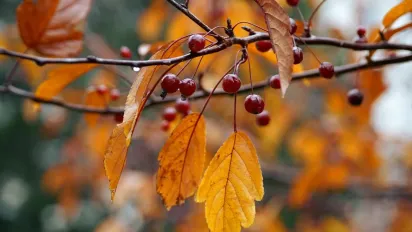 Синоптик попередив про сильне похолодання в Україні: температура впаде на 8 градусів - фото