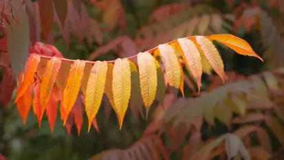 4 листопада в Україну увірветься похолодання з дощами: прогноз синоптика - фото