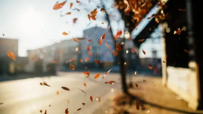 Погода на початку листопада: де буде тепло, а де пройдуть дощі - фото