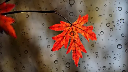 Цього тижня погода в Україні почне змінюватися: до чого готуватися - фото