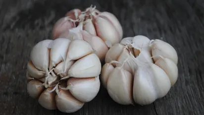 Чим краще вкрити часник на зиму: найкращі варіанти - фото