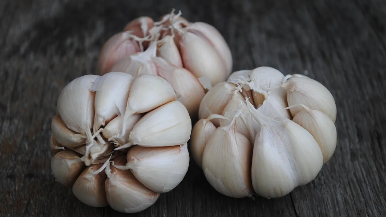 Чим краще вкрити часник на зиму: найкращі варіанти 