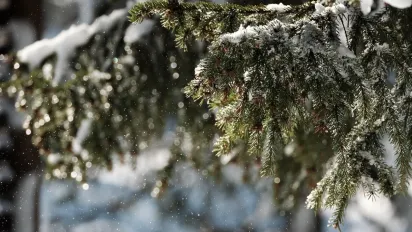 Коли прийде похолодання та випаде сніг: синоптикиня назвала точну дату - фото