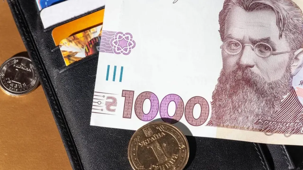 Кожен українець отримає по 1000 грн: нова програма підтримки взимку 