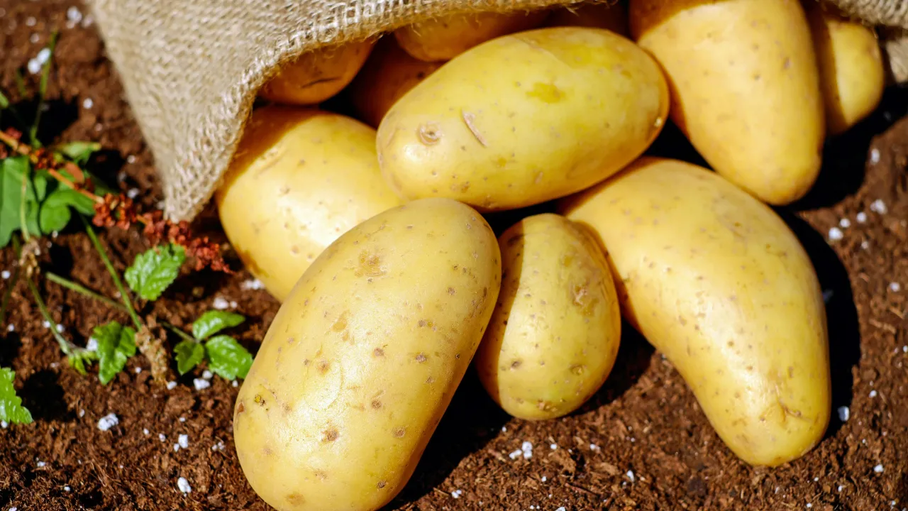 Забудьте звичайне пюре: як приготувати картоплю по-рецепту, який вразить 