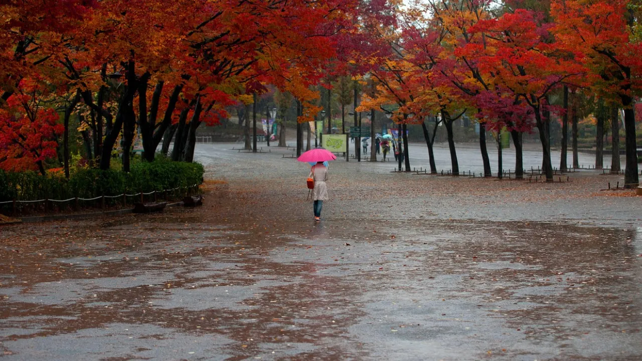 До України мчить серйозне похолодання: синоптикиня назвала дати 