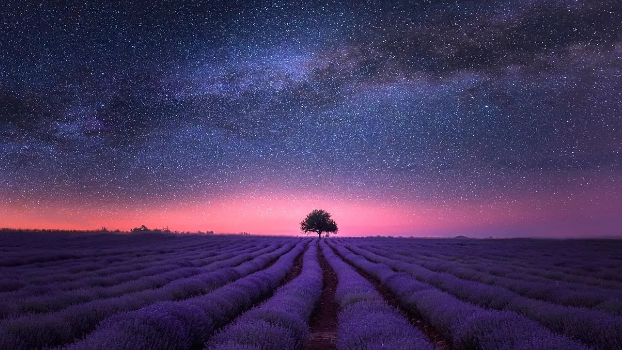 Гороскоп на 6 листопада 2025 року для всіх знаків Зодіаку 