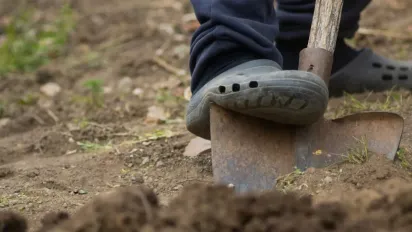 Осінні роботи на городі: план підготовки для високого врожаю - фото