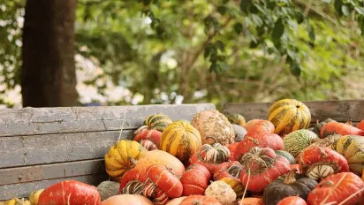 Що не можна робити 7 листопада, щоб гроші "не пішли з дому": народні прикмети - фото