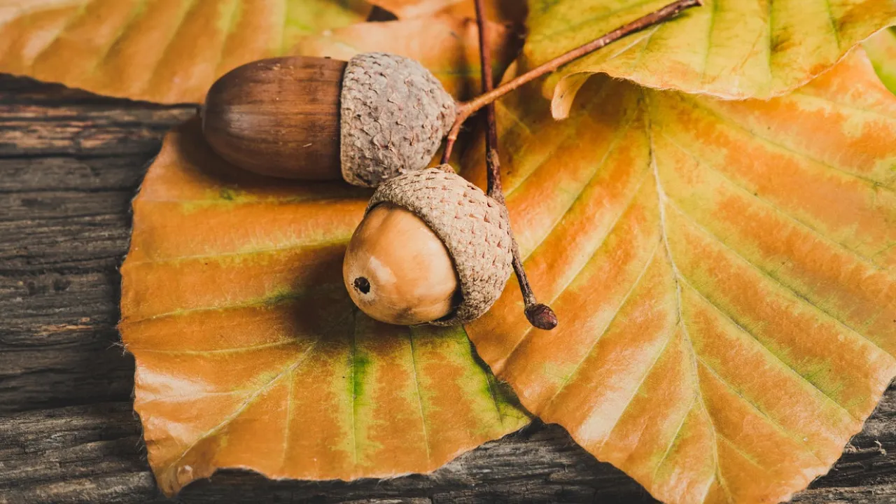 На вихідних погода в Україні почне змінюватися: прогноз синоптиків 