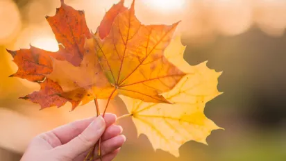 8 листопада - День святого Михайла: звичаї, прикмети та заборони свята - фото