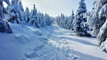 Де взимку знайти найм’якший сніг у світі: науковці дали відповідь - фото