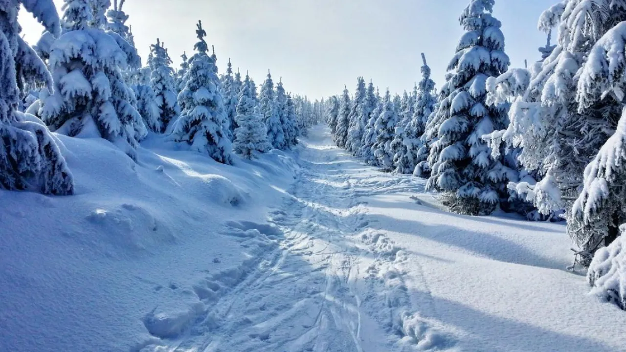 Де взимку знайти найм’якший сніг у світі: науковці дали відповідь 