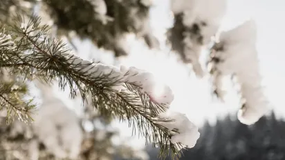 Синоптик повідомив, чи буде прийдешня зима в Україні зі снігом та сильними морозами - фото