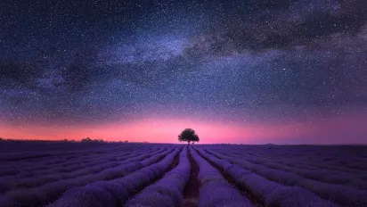 Гороскоп на 10 листопада 2025 року для всіх знаків Зодіаку  - фото