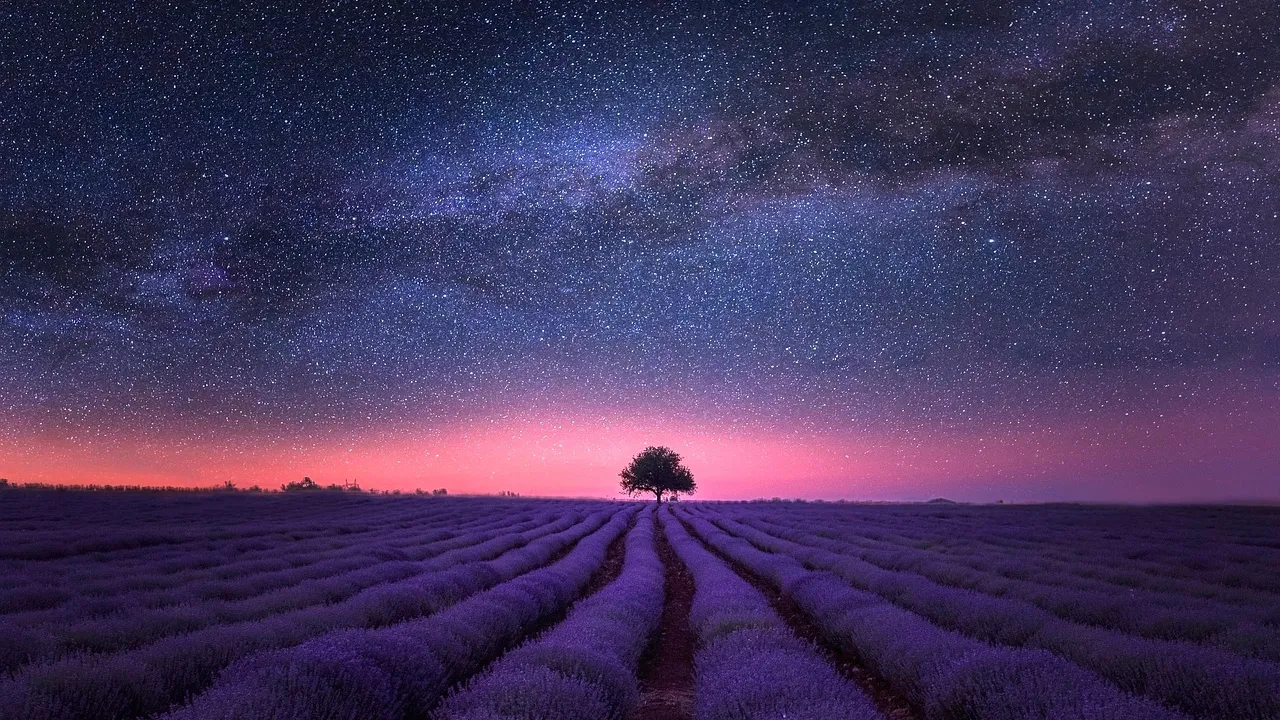 Гороскоп на 10 листопада 2025 року для всіх знаків Зодіаку  