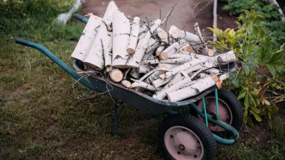 Газ, дрова чи електрика: чим вигідніше опалювати будинок у 2025 році - фото