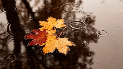 Хмарний день і мокрий листопад: прогноз погоди на 11 листопада по регіонах - фото