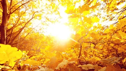 У листопаді потеплішає до +18: синоптик назвав дати “осіннього бабиного літа” - фото