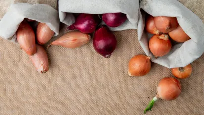 Що можна і що не варто садити після цибулі: поради городникам - фото