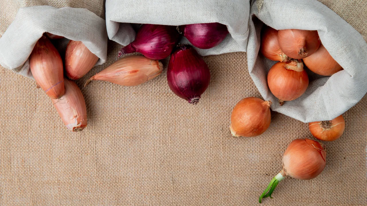 Що можна і що не варто садити після цибулі: поради городникам 