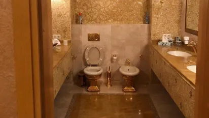 Гучні обшуки НАБУ: золотий унітаз і сумки з готівкою у квартирі бізнесмена Міндіча - фото