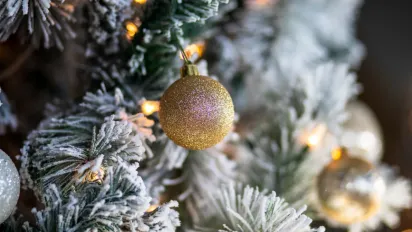 Стало відомо, як виглядатиме головна ялинка України та як долучитися до її прикрашання цього року - фото