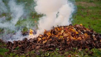 Спалювання сухої трави та сміття восени: які штрафи загрожують порушникам - фото
