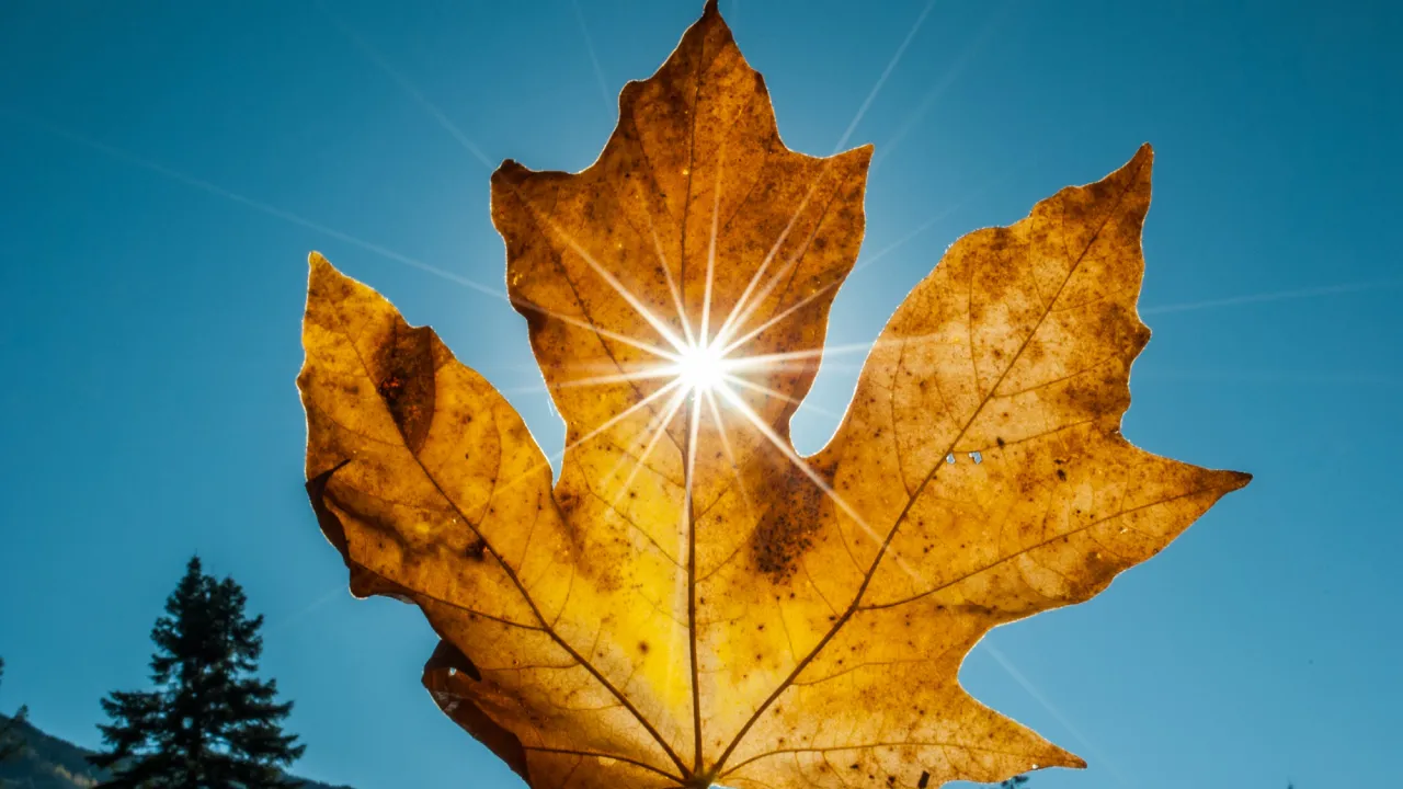 Синоптикиня Діденко розповіла, коли в Україні стане тепліше — але ненадовго 