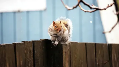 18 листопада в Україну увірветься сильне похолодання: температура впаде до +2°...+4° - фото