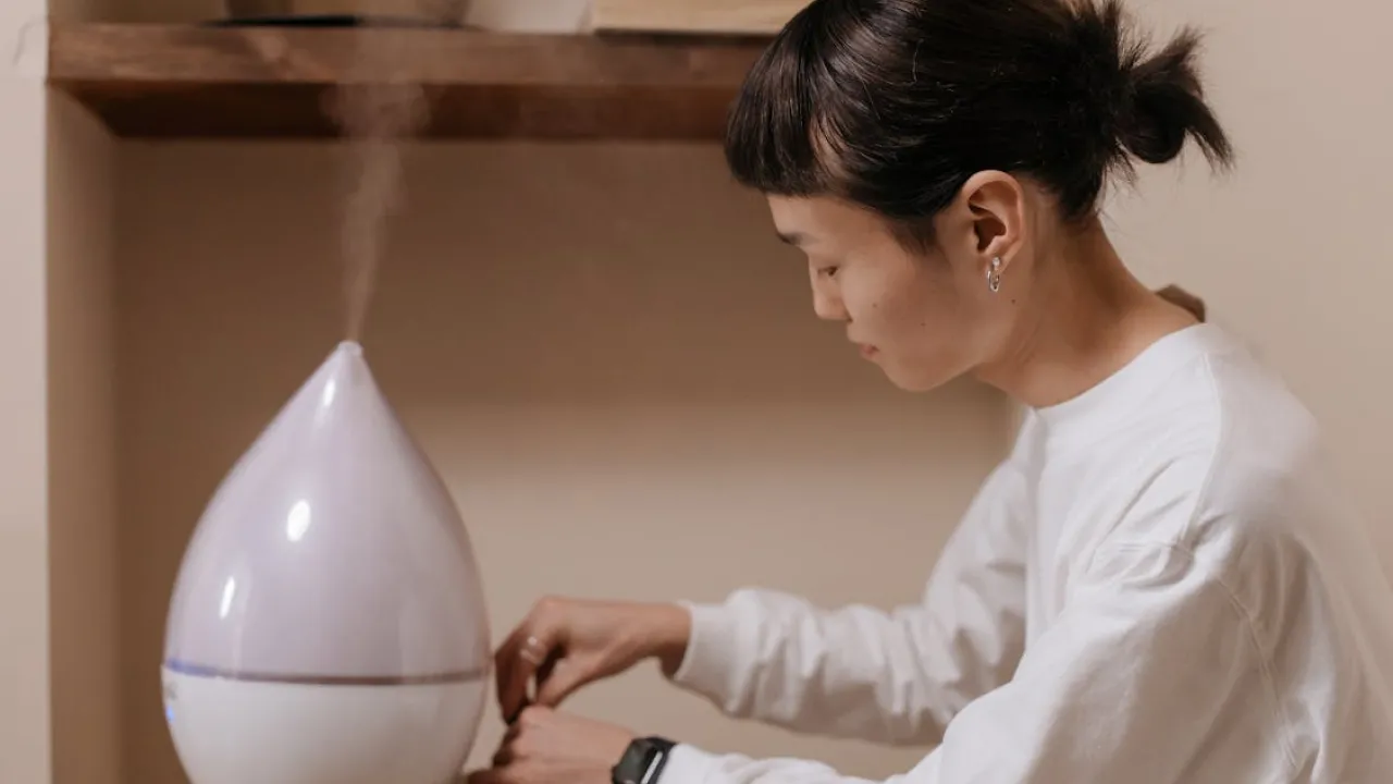 Як вибрати зволожувач повітря для квартири взимку: поради, про які ви не чули 