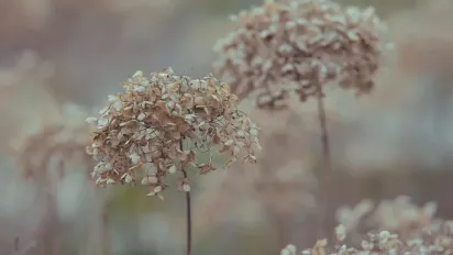 Чому 19 листопада вважали невдалим днем: народні прикмети - фото