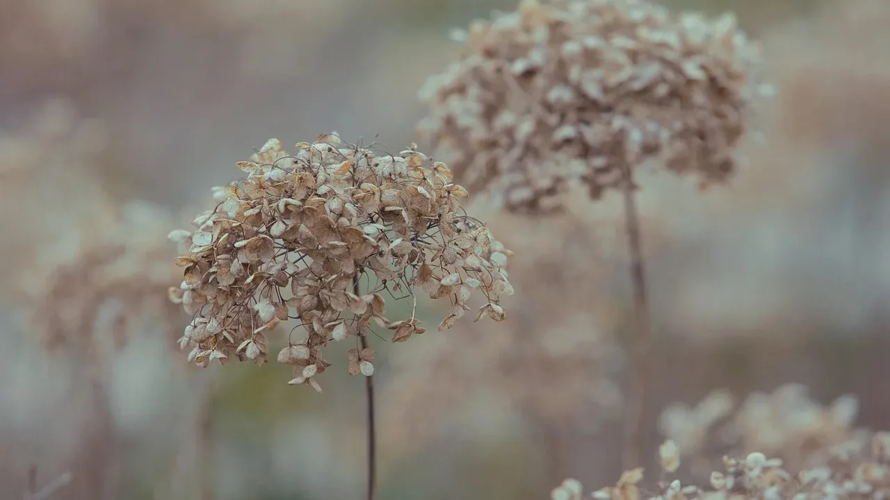 Чому 19 листопада вважали невдалим днем: народні прикмети 