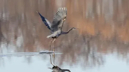 Синоптикиня назвала точну дату, коли в Україні трохи потеплішає - фото