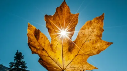 Синоптики зафіксували історичні рекорди 18 листопада: у п’яти регіонах України денні температури перевищили показники минулих років - фото