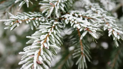 Що робили 20 листопада, щоб нечиста сила не пробралась у дім: народні прикмети - фото