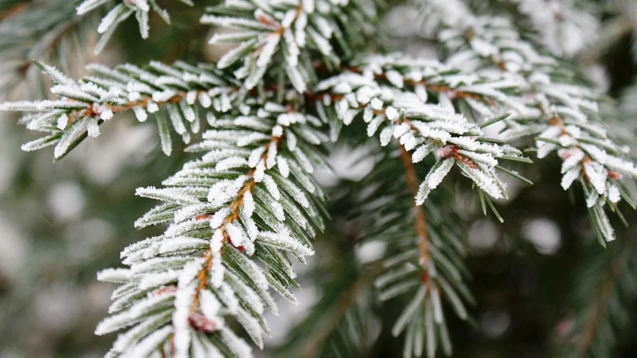 Що робили 20 листопада, щоб нечиста сила не пробралась у дім: народні прикмети 