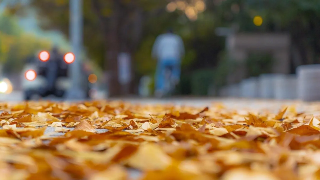 Спека, сніг та ожеледь: синоптик розповів, як погода "збожеволіє у кінці листопада 