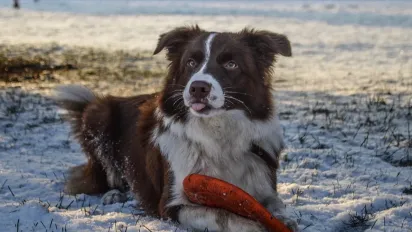 На вихідних Україну накриють опади та ожеледиця: прогноз синоптикині Діденко - фото
