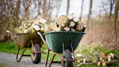 Які дрова горять найдовше, найбільше гріють і допомагають заощадити: пояснення експертів - фото