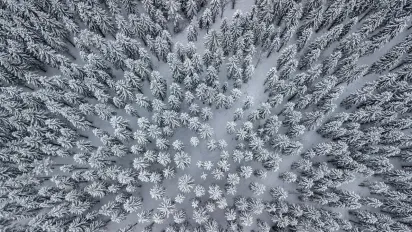Що не можна позичати сусідам 22 листопада, щоб не накликати бідність: народні прикмети - фото