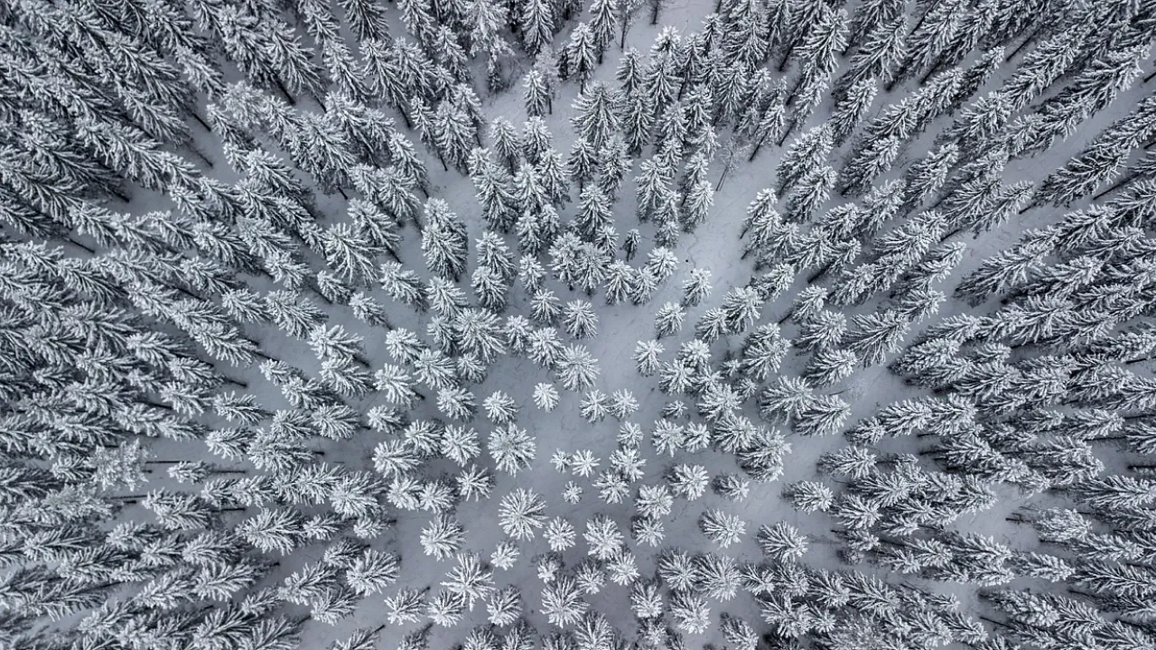 Що не можна позичати сусідам 22 листопада, щоб не накликати бідність: народні прикмети 
